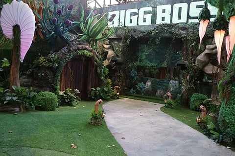 bigboss