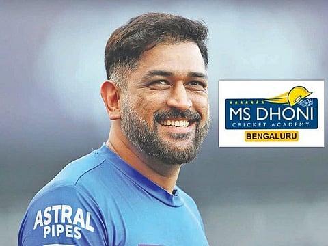 dhoni web