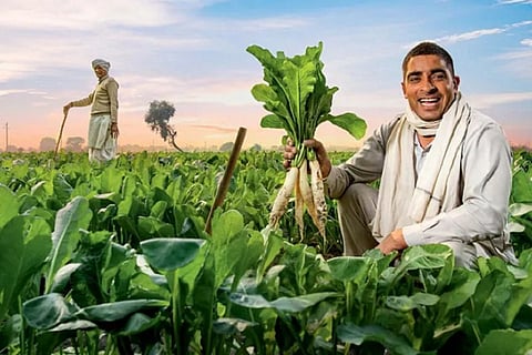 farm