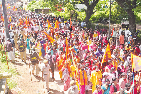 gangalli new