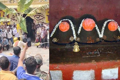 hasanambe