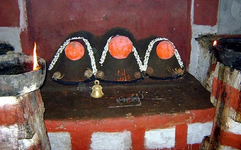 hasanambe