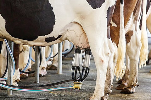 milk mission