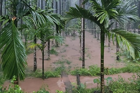 rain