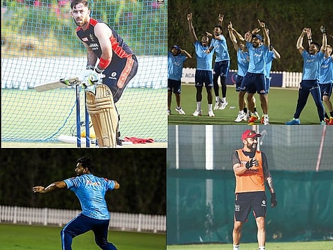 rcb and delhi for web