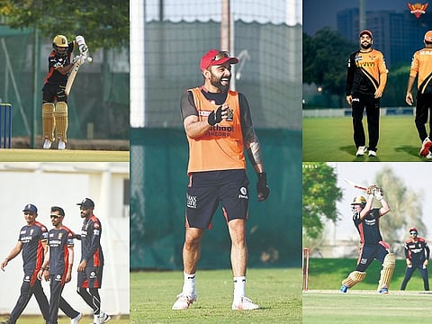 rcb and srh for web