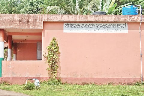 school