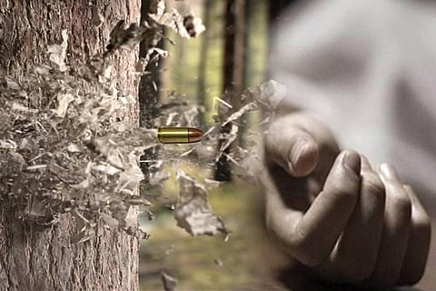 tree death