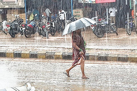 Rain