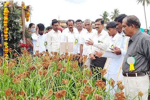 17_SDL_Agriculture