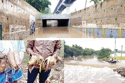 191121 Ballari Vijayanagara Rain Effect