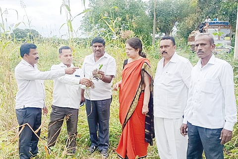 24 RMGM - Photo-01-Anitha Kumarswamy