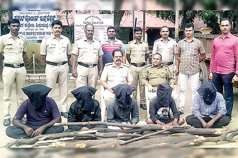 291121 Siraguppa Thief Arrest on Srigandha