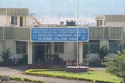Bidar