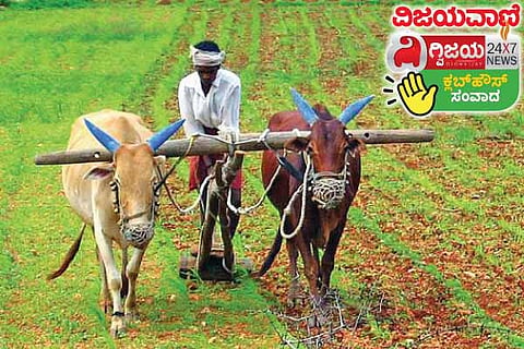 CH Agri