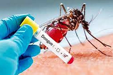 Dengue