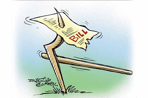 Farm Cartoon