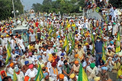 Farmers