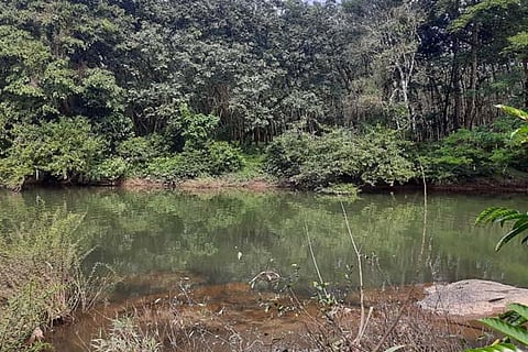 Hebri
