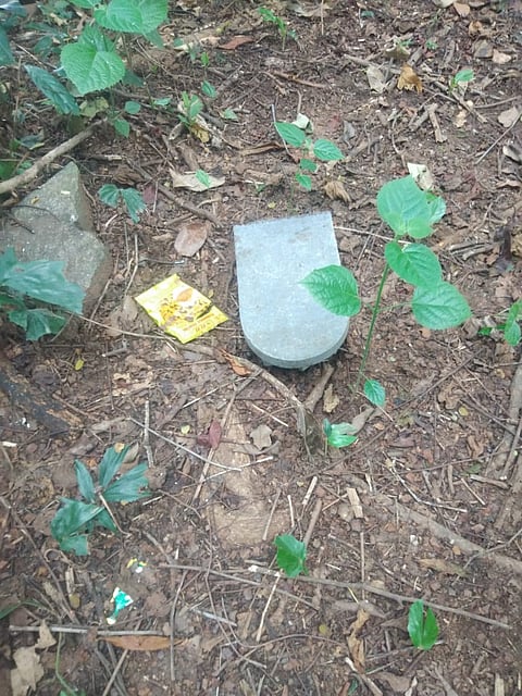 IMG-20211113-WA0092