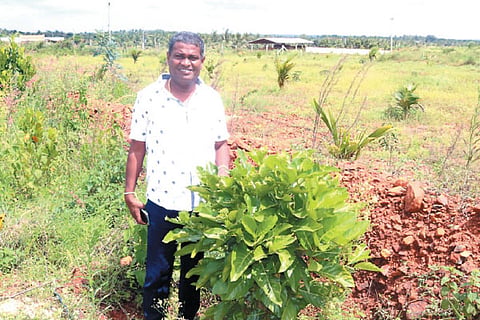 Manchegowda