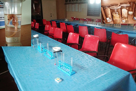 Pavoor School Lab