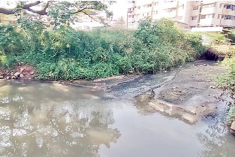 Rajakaluve