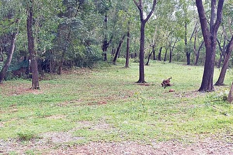 Ramakunja Goshale