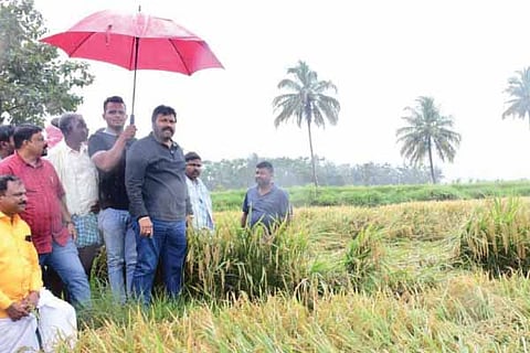 State Rain