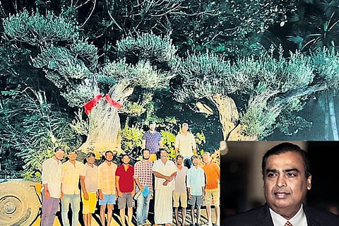 ambani1