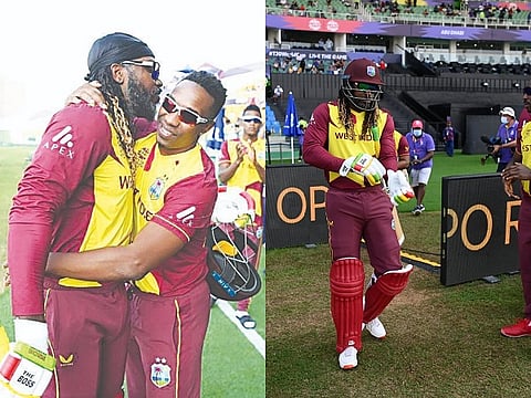 chris gayle and bravo for web