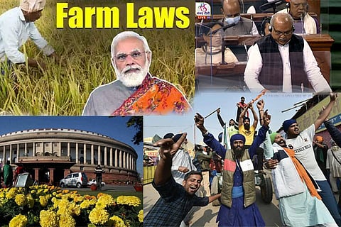 farm