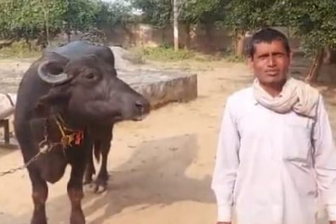 farmer