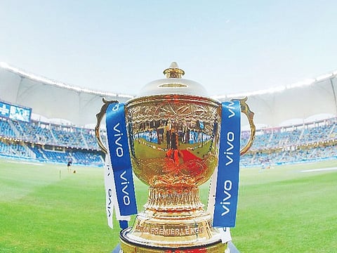 ipl 15 web