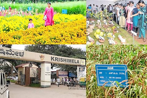 krushimela