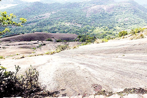 savanadurga