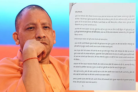 yogi