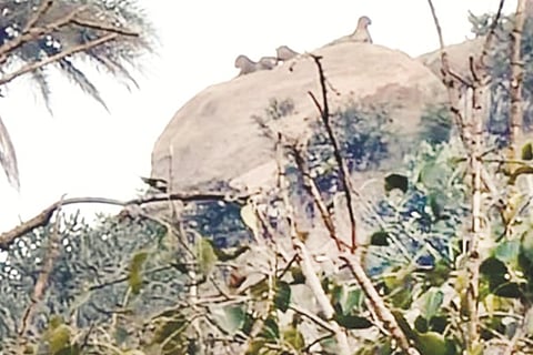 21 madugiri story