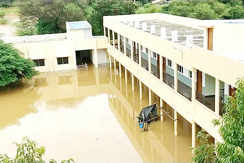 22 Gubbi 01