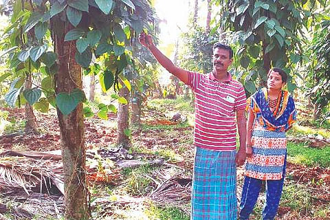 Channagiri agriculture farmer