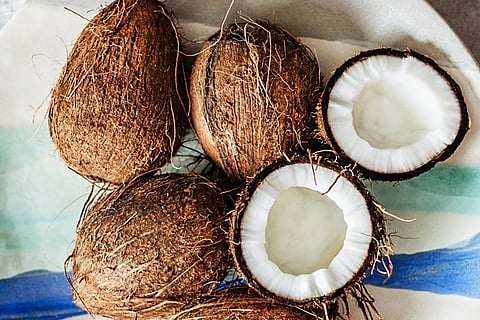 Coconut