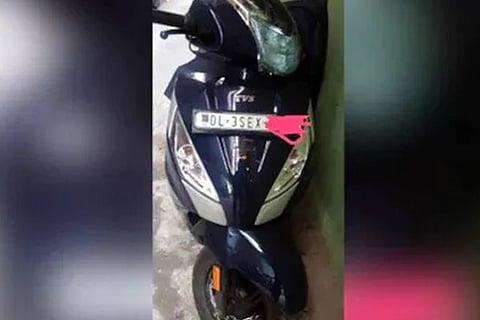 Delhi Girl