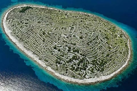 Fingerprint Island