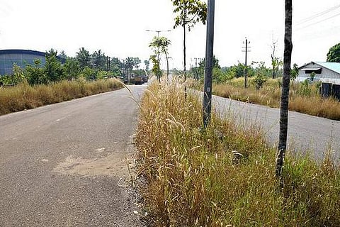 Plastic Park