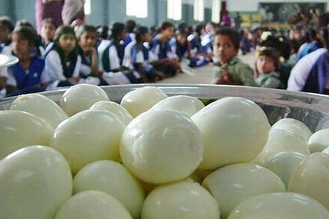 School Eggs Distribute