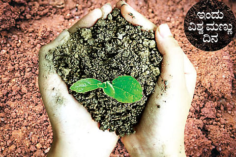 Soil Day