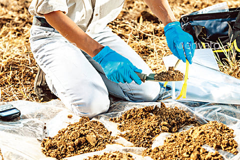 Soil