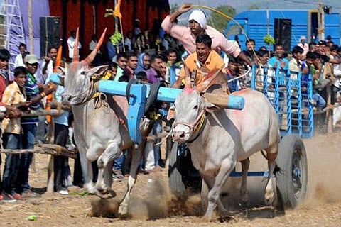 bullockcart
