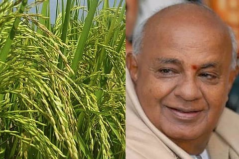 devegowda