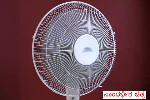 fan